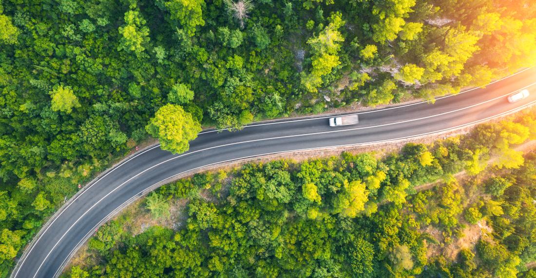 A winding road surrounded by trees.